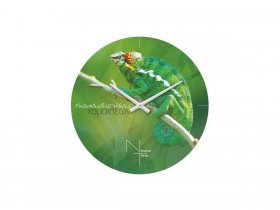 Часы настенные Nicole Time NT503 в Усть-Нере - ust-nera.mebel-nsk.ru | фото